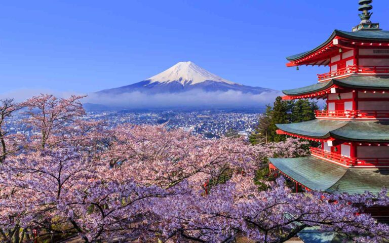 2024 Cherry Blossom Flowering Dates in Japan
