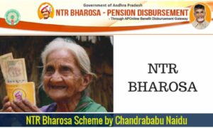 NTR Bharosa Pension